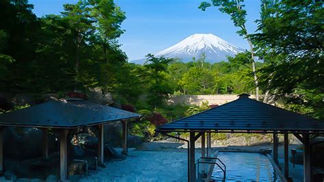 Onsen with Mount Fuji View (Private Experience Without Guide