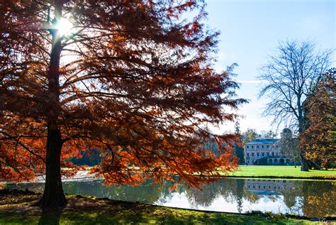 Autumn in Favorite Castle, Germany. on Behance