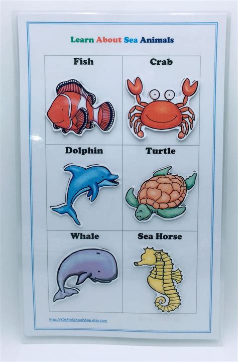 Preschool Sea Animals Learning Chart Preschool Lesson Plans, Preschool ...