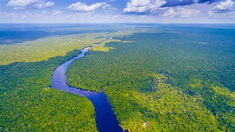 The Amazon rainforest is under threat: here’s how you can help - Lonely Planet