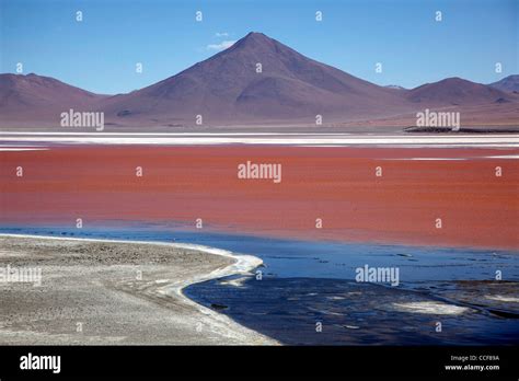 Laguna Colorada, a high altitude lake near Bolivia's Salar de Uyuni Stock Photo: 42132422 - Alamy