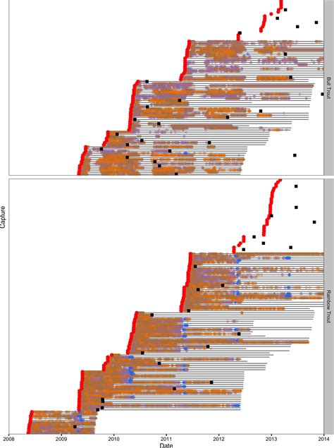 The fishing and natural mortality of large, piscivorous Bull Trout and Rainbow Trout in Kootenay ...