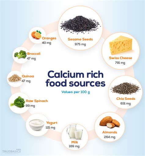 Role of Calcium in the Human Body - Truebasics Blog