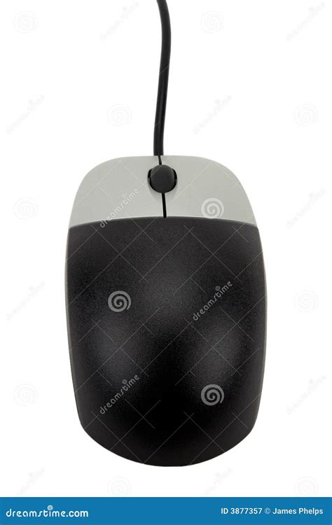 Computer Mouse With Scroll Wheel Royalty Free Stock Photography - Image: 3877357