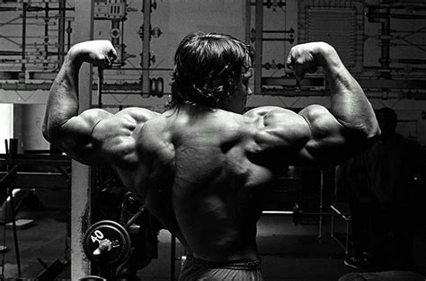 HD wallpaper: bodybuilding computer backgrounds, muscular build ...