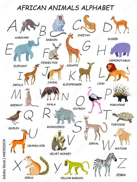 All African animals by alphabet. Zebra, yellow baboon, xerus, warthog ...