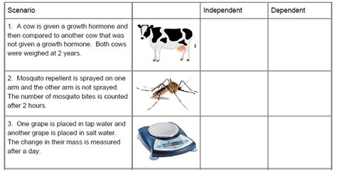 Independent & Dependent Variables