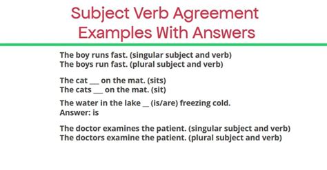 Subject Verb Agreement Examples With Answers - expertpreviews