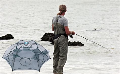 Amazon.com : Nswdhy New Fishing Bait Foldable Net Trap Cast Dip Cage ...