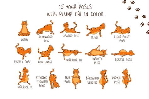 Yoga Cats | Cat yoga, Yoga illustration, How to do yoga