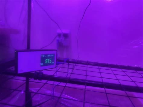 Got my Martha tent setup! [technique] : r/MushroomGrowers