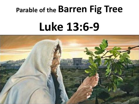 Parable of the barren fig tree Luke 13 6 9