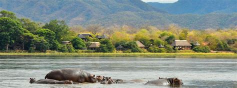 Royal Zambezi Lodge | Classic Lower Zambezi River Lodge