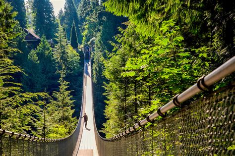 Vancouver: Capilano Suspension Bridge Park Entry Ticket | GetYourGuide