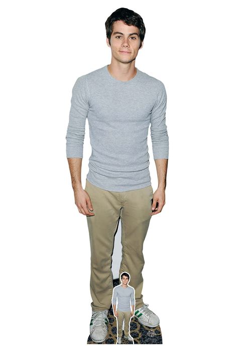 Celebrity Cardboard Cutouts, Standees and Standups Available now at Starstills.com