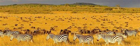 Serengeti Luxury Hotel | Dàya Travel