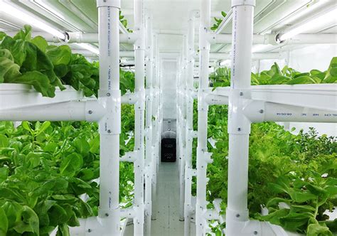 Cropbox Hydroponic shipping container farm | Inhabitat - Green Design, Innovation, Architecture ...