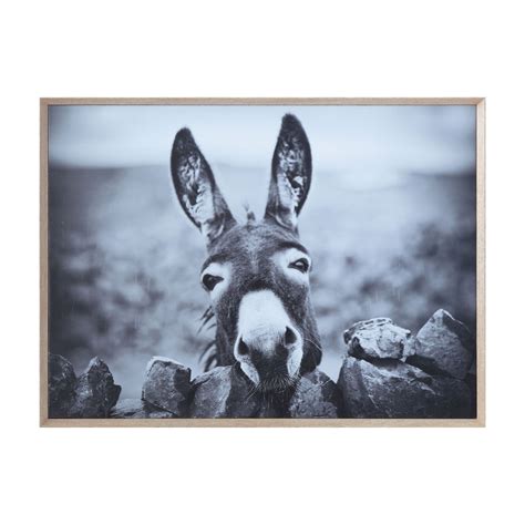 3R Studio Wall Art Canvas Framed Black and White Donkey - Walmart.com ...