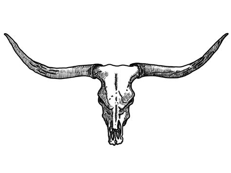 Texas Longhorns Png - Longhorn Bull Skull Tattoo - 2048x1536 Wallpaper ...