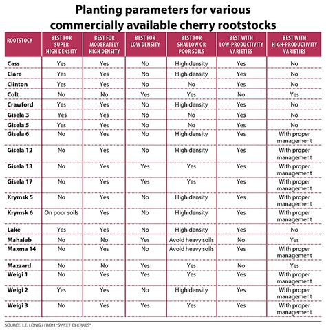 A lot of choices for cherry rootstocks – Good Fruit Grower