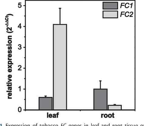 Figure 1 from Transgenic Tobacco Lines Expressing Sense or Antisense ...