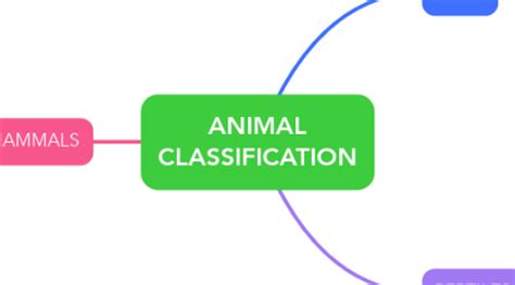 ANIMAL CLASSIFICATION | MindMeister Mind Map