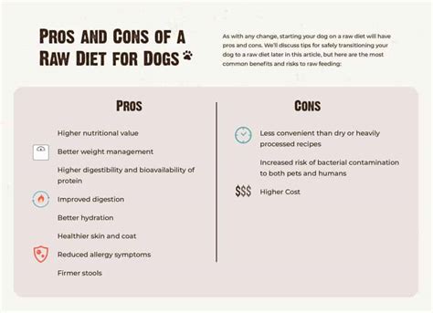 How to Start a Raw Diet For Dogs | RAWZ Natural Pet Food