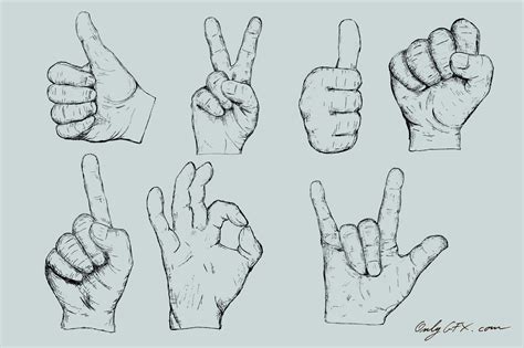 Hand Drawn Hand Gestures Vector (EPS, SVG, PNG Transparent) | OnlyGFX.com