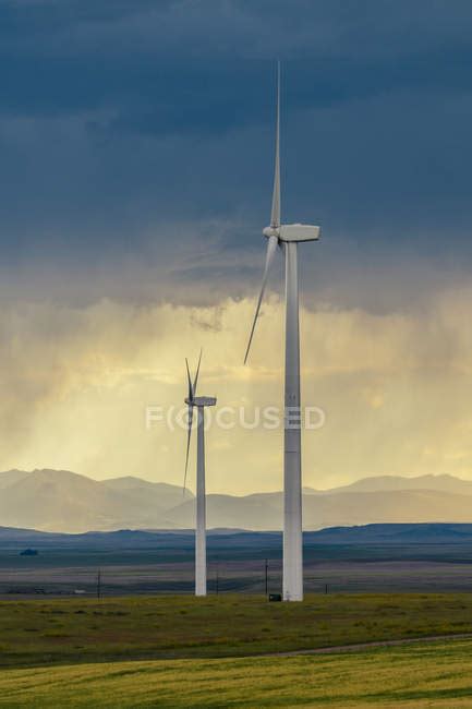 Wind turbines rotating in field at sunset — scenic, powerful - Stock ...