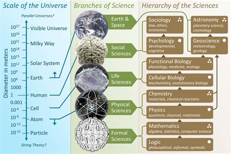 Branches Of Science Wikipedia — db-excel.com