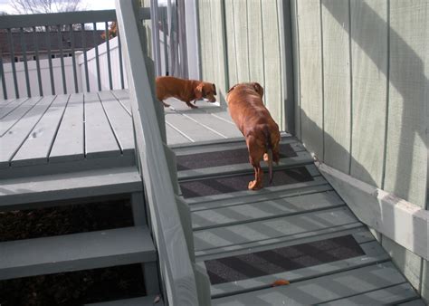 Outdoor Dog Ramp Diy