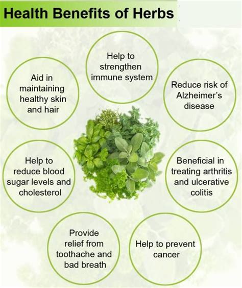 Why use herbs for health? Checkout below: | Herbs, Herbs for health ...