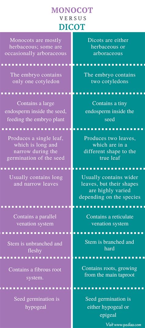 Difference Between Monocot and Dicot | Definition, Structure, Features ...