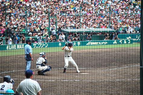 Baseball Season in Japan 2025 - Rove.me