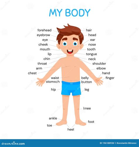 My Body Chart For Kids | Images and Photos finder