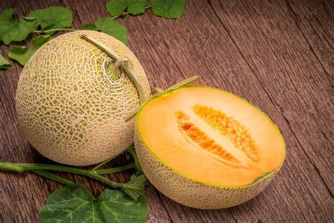 Why is Yubari King Melon So Expensive? (Top 10 Reasons)