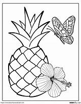 Pineapple Coloring Page For Kids sketch template
