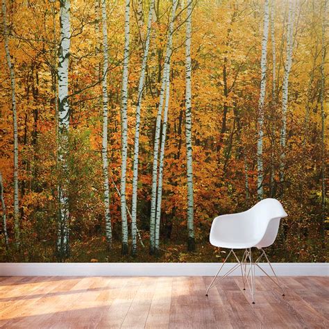 Autumn Birch Tree Forest Wall Mural