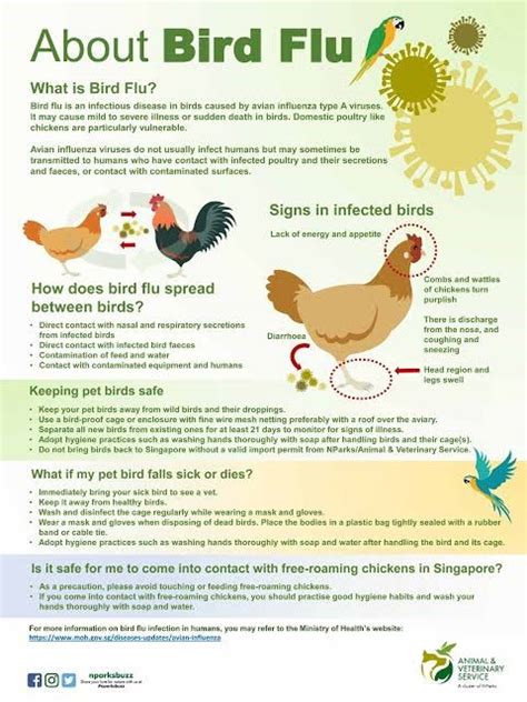 Avian influenza (bird flu) - INSIGHTS IAS - Simplifying UPSC IAS Exam ...