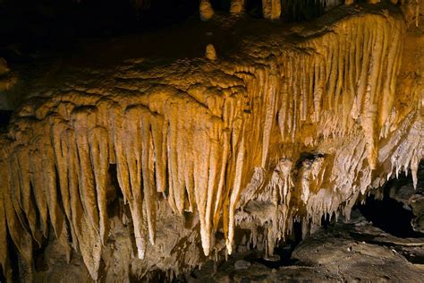 Mammoth Cave National Parkавтор: QT Luong | Mammoth cave national park, Mammoth cave, National parks