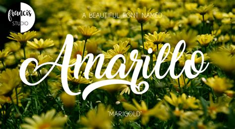 Amarillo Font | dafont.com