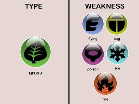 How to Learn Type Weaknesses in Pokémon (with Pictures) - wikiHow