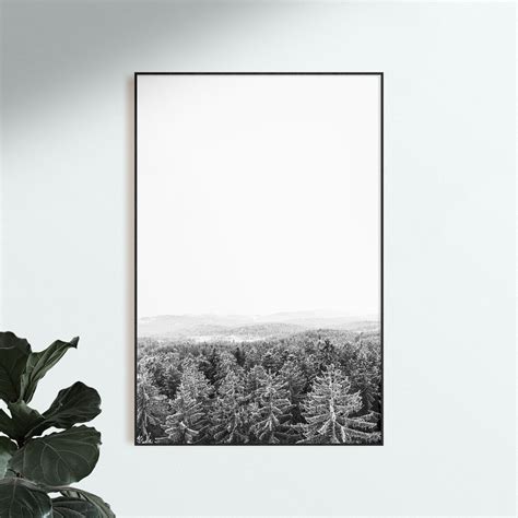 Set of 3 Nature Prints Black and White Nature Wall Art Set - Etsy