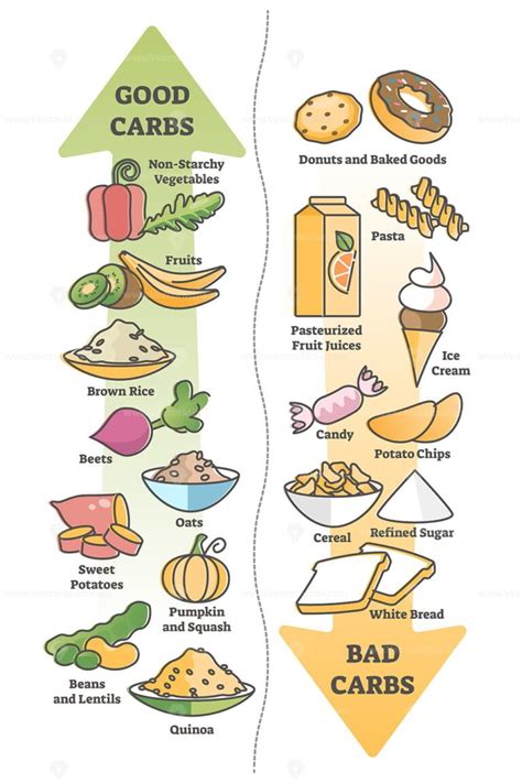 Good carbohydrates vs bad carbs as food example educational outline diagram - VectorMine