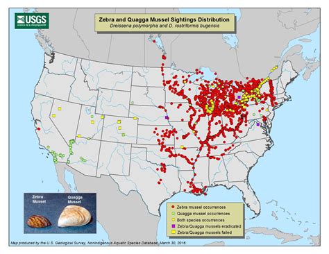 Zebra Habitat Map - Category:Perissodactyla distribution maps - Wikimedia Commons - Mountain ...