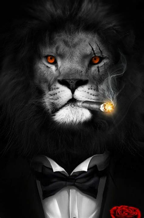 Red And Black Lion Wallpapers - Wallpaper Cave