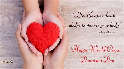 National Organ Donation Day 2024 Images - Irene Leoline