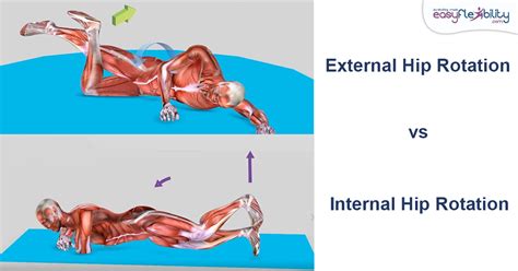 The 3 Most Effective Exercises for Developing Hip Internal and External Rotation – EasyFlexibility