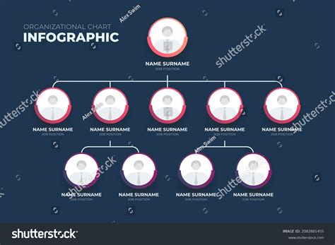 Business Hierarchy Organogram Chart Infographics Corporate Stock Vector ...