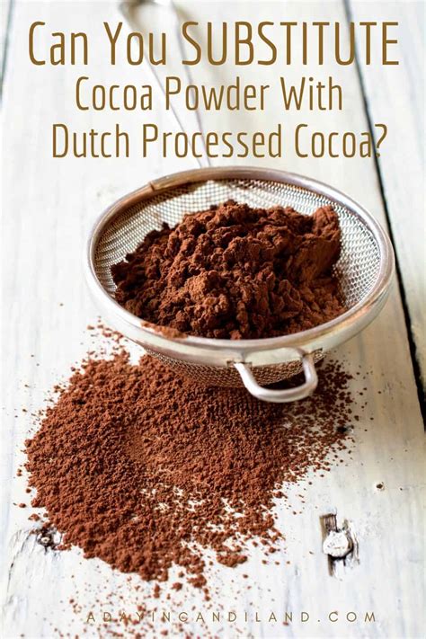 Can You Substitute Dutch Cocoa for Cocoa Powder?